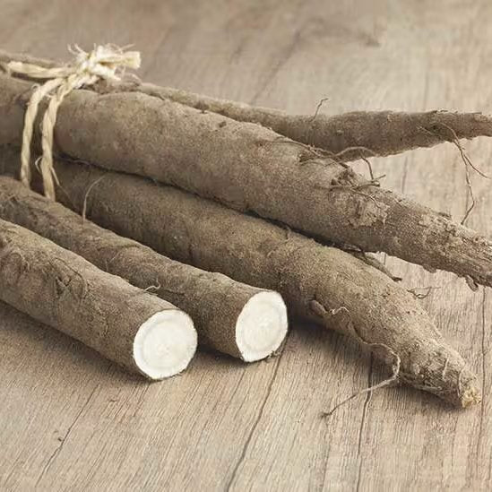 Chikyubatake Organic Gobocha Japanese Burdock Root Tea Bags 15ct. - Image 5