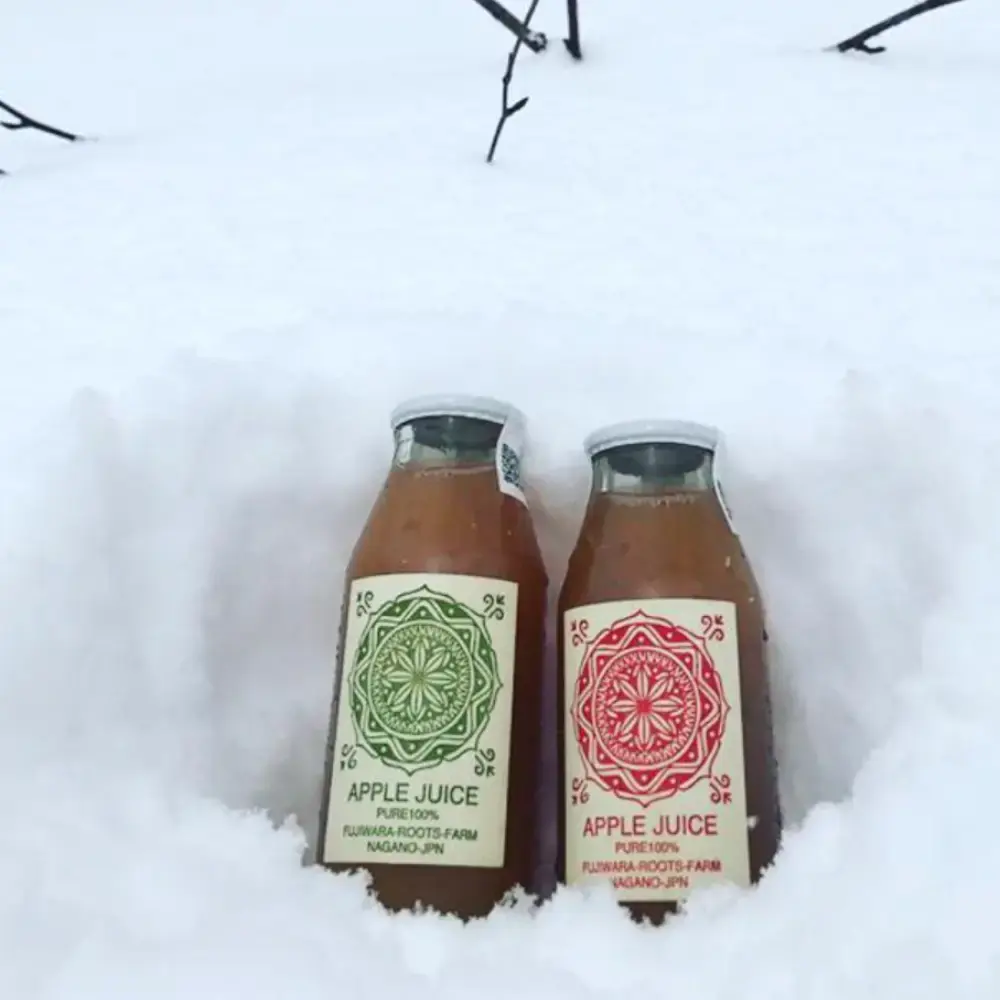 Fujiwara Roots Farm Pure Natural Nagano Apple Juice 180ml - Image 4