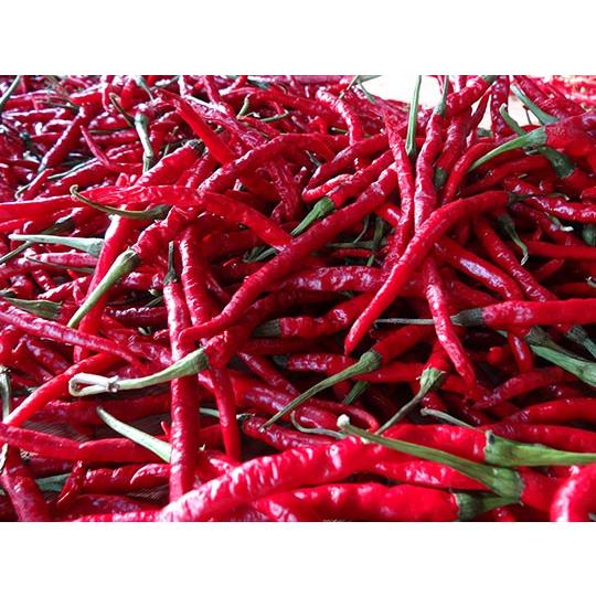 Imakawa Red Chili Pepper Spicy Vinegar Hot and Sour Seasoning 150m - Image 4