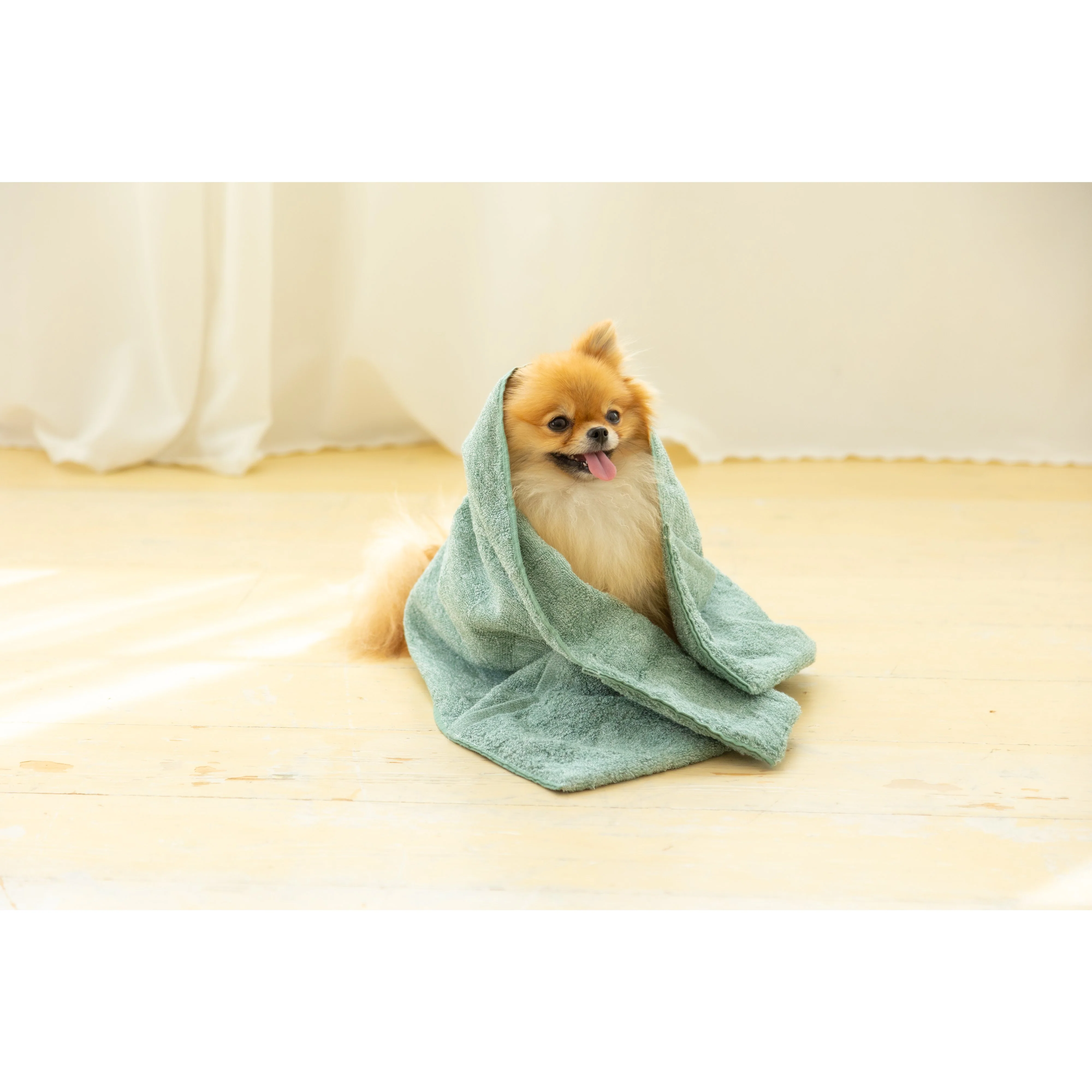 Jogan Pet Towel Super Absorbant Bath Towel for Pets Green 34×78cm - Image 3