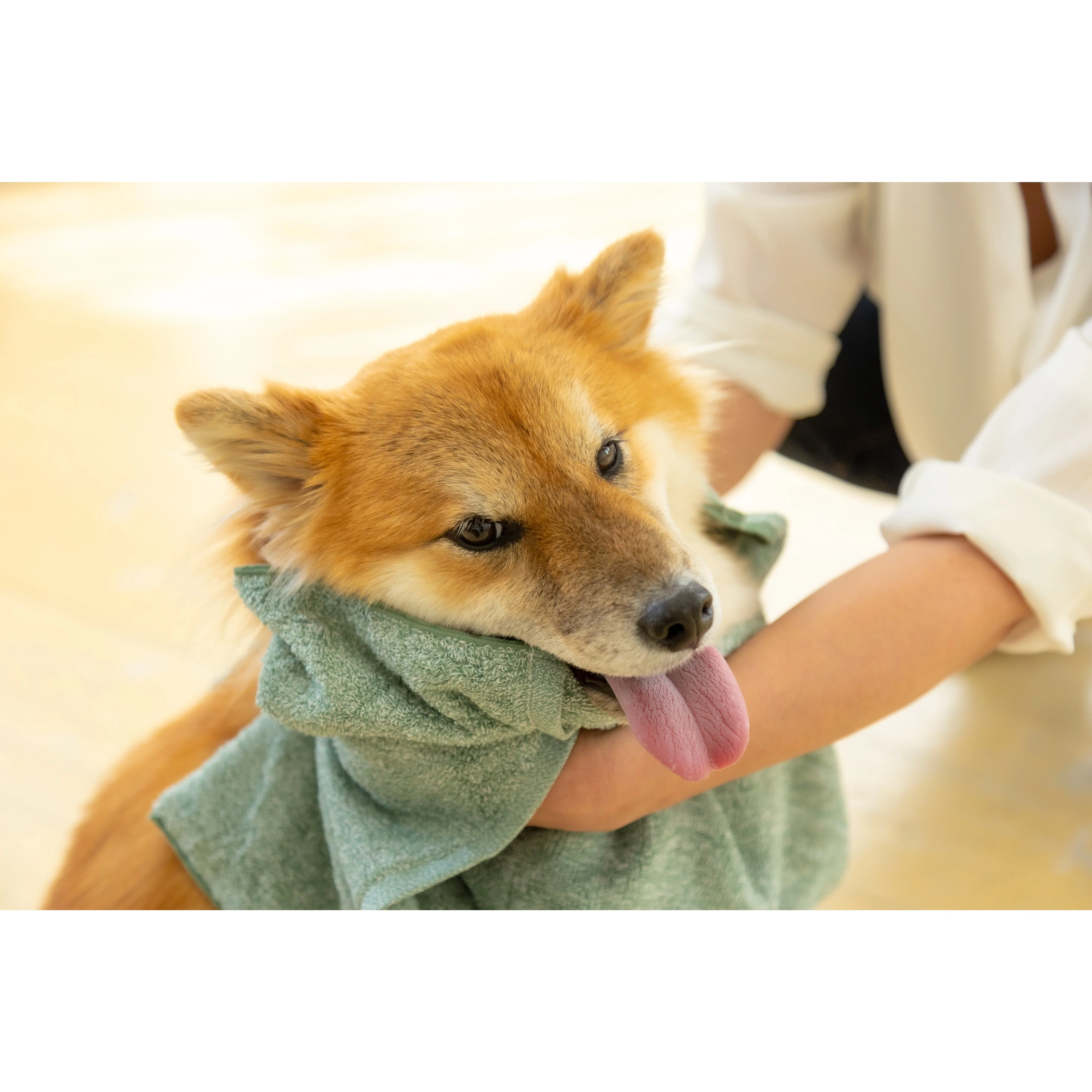 Jogan Pet Towel Super Absorbant Bath Towel for Pets Green 34×78cm - Image 8