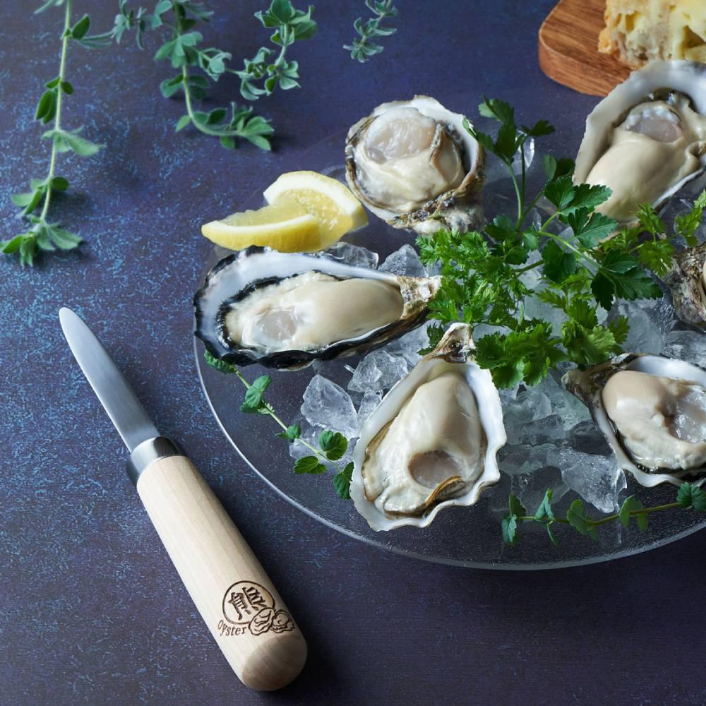 Kumagai Handcrafted Oyster Knife For Single Grain Oysters 8cm - Image 2