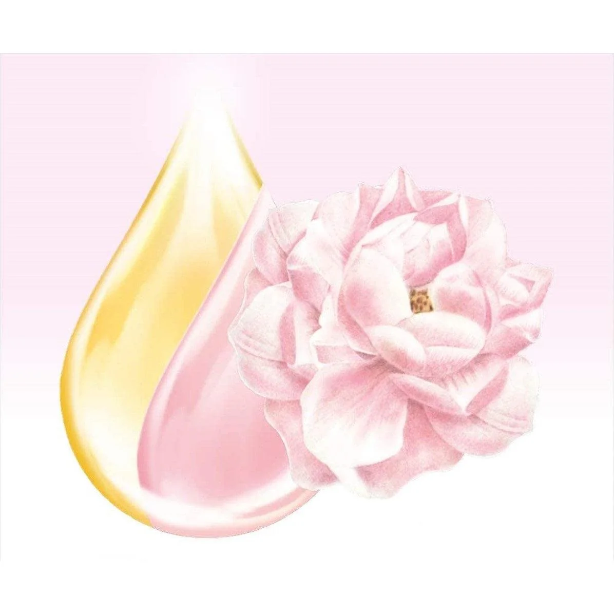 Lux Body Soap Soft Rose Foaming Body Wash Refill 300g - Image 3