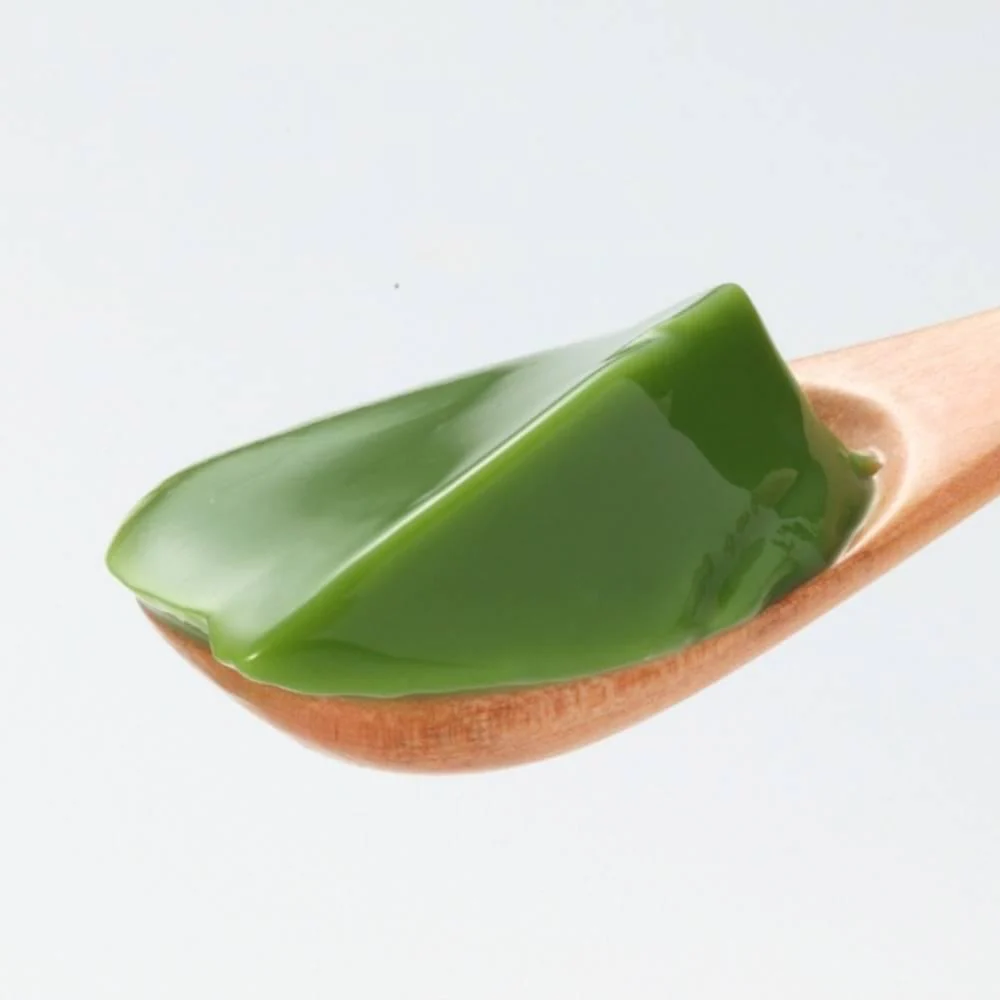 Morihan Matcha Pudding Mix Professional Use 500g - Image 4