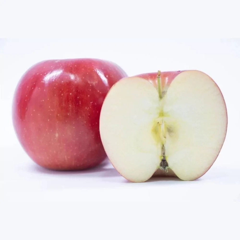 Shinshu Nagano Apple Jam All-Fruit Natural Spread No Added Sugar 240g - Image 4