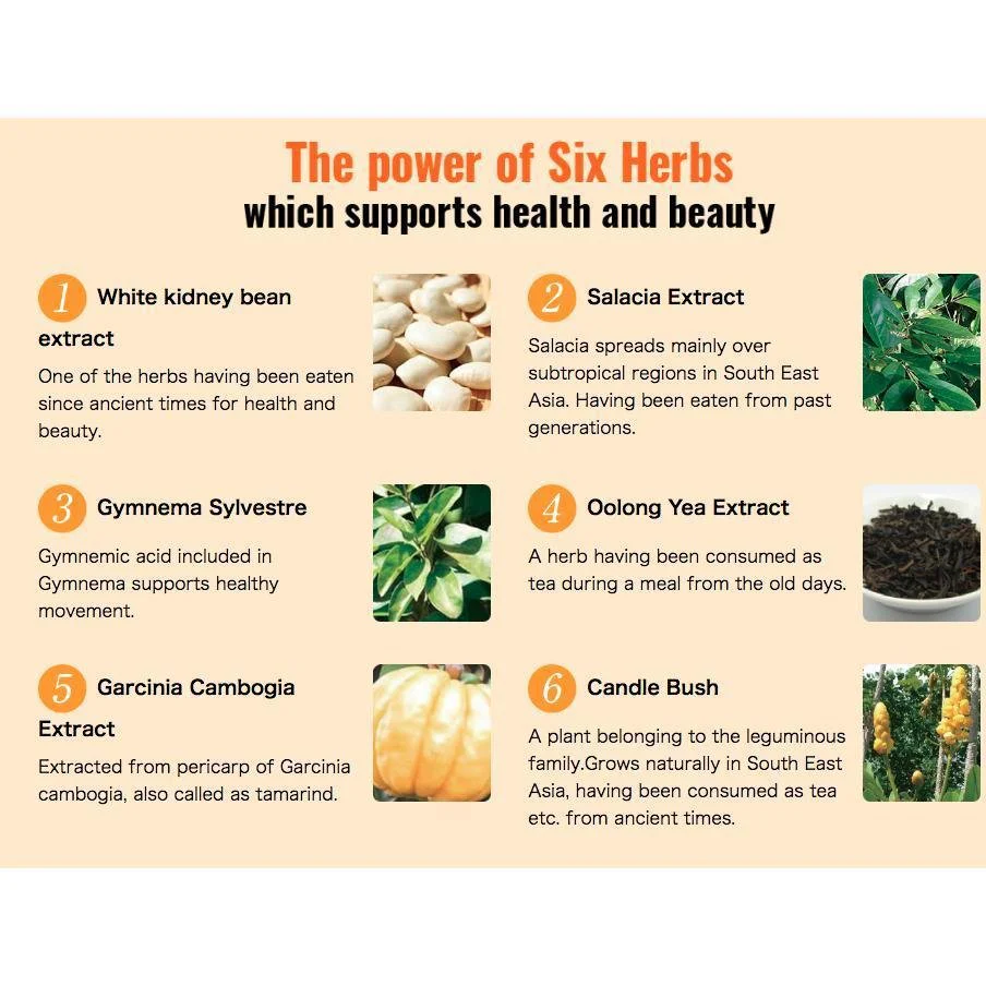 Svelty Pakkun Yeast Supplement Sugar Carb Fat Blocker 120 Tablets - Image 5