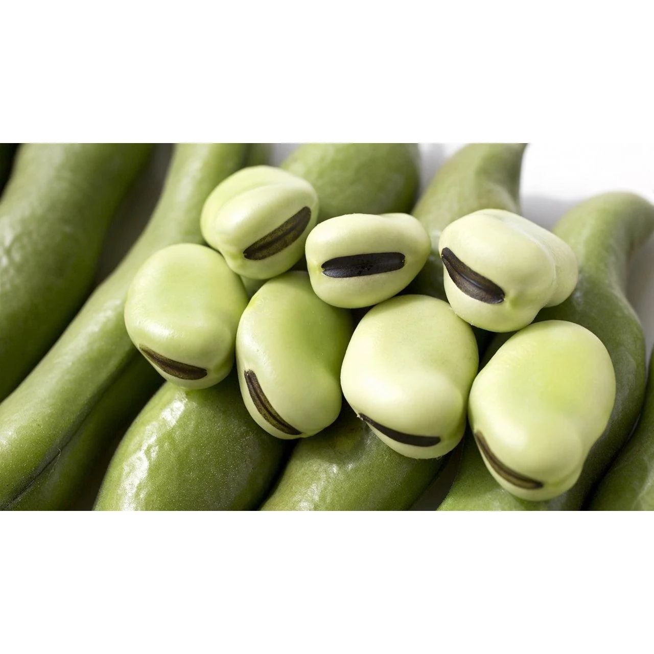 Takahashi Shoten Fava Bean Shoyu Sauce (Soy-Free Soy Sauce) 300ml - Image 3