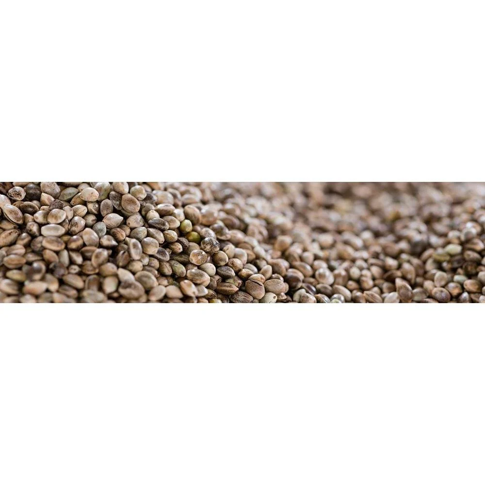 Yawataya Isogoro Shichimi Togarashi Seasoning Can 14g - Image 11